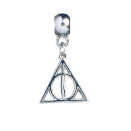 HARRY POTTER CHARM I DONI...