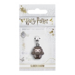 HARRY POTTER CHARM REBEUS...