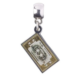 HARRY POTTER CHARM...